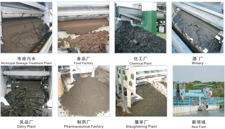 市政污泥壓濾機